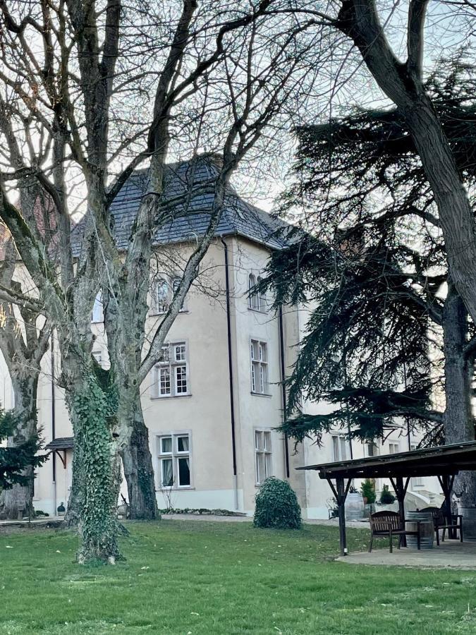 Bed And Breakfast Le Chateau De Morey Belleau Exterior photo